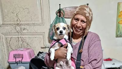 Está a cargo de un refugio de perros y cartonea para conseguir alimentos para los animales que cuida