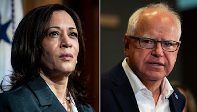 ANÁLISIS | Por qué Kamala Harris eligió a Tim Walz como su compañero de fórmula