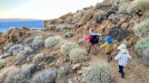 The Ethics of Thru-Hiking with Kids