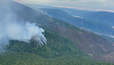 Fire flyover reveals promising news for Sicamous