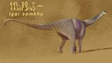 75 million-year-old 'forgotten lord of the oasis' titanosaur fossils from Egypt fill a 'black hole' in dinosaur history