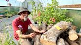 Artist makes ink from clone of Isaac Newton’s apple tree after it blew down in Storm Eunice