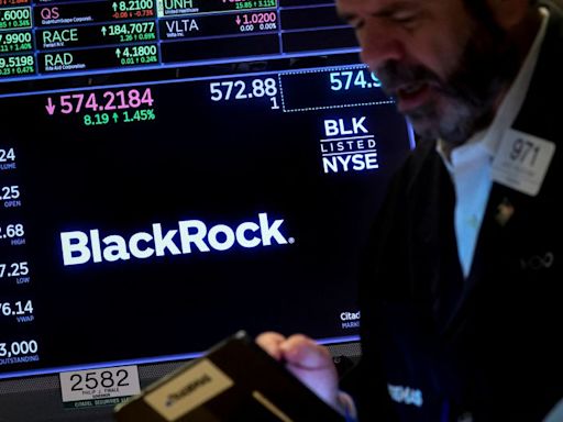 Italy and BlackRock discuss potential data centres investment