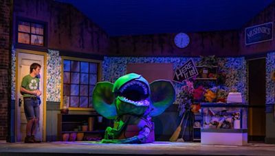 Flesh-eating plant fills Bangor Opera House with fun and joy in ‘Little Shop of Horrors’