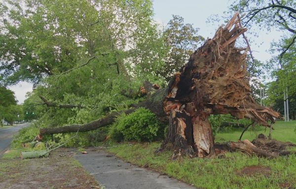 Rock Hill thunderstorm had 90 mph winds, storm investigators find