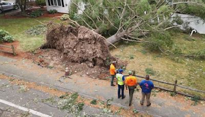 Tornado touched down in Massachusetts and Rhode Island, National Weather Service confirms