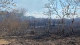 Sin bomberos en Najasa para controlar incendios en el bosque