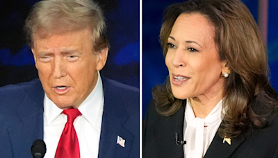 Donald Trump Takes Attacks On Kamala Harris To A New Low, Calls Her 'Mentally Disabled'