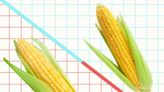 The Difference Between Field Corn and Sweet Corn, According to a Chef and Corn Expert