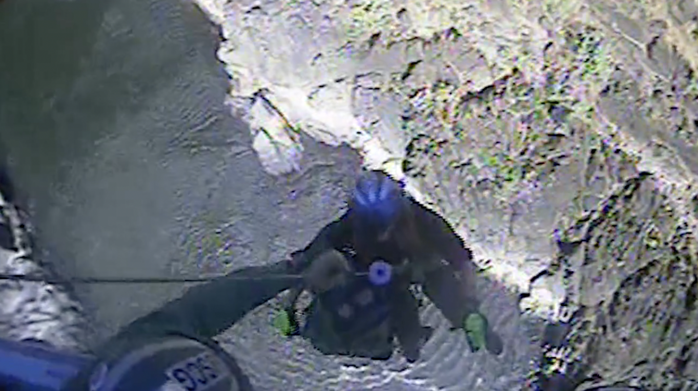 Video shows Coast Guard rescue blind hiker, guide dog