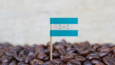 Recaudación por exportación de café hondureño cayó 11%