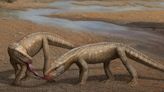 Por primera vez hallaron en Brasil un ejemplar de los cocodrilos que dominaron la Tierra antes de los dinosaurios