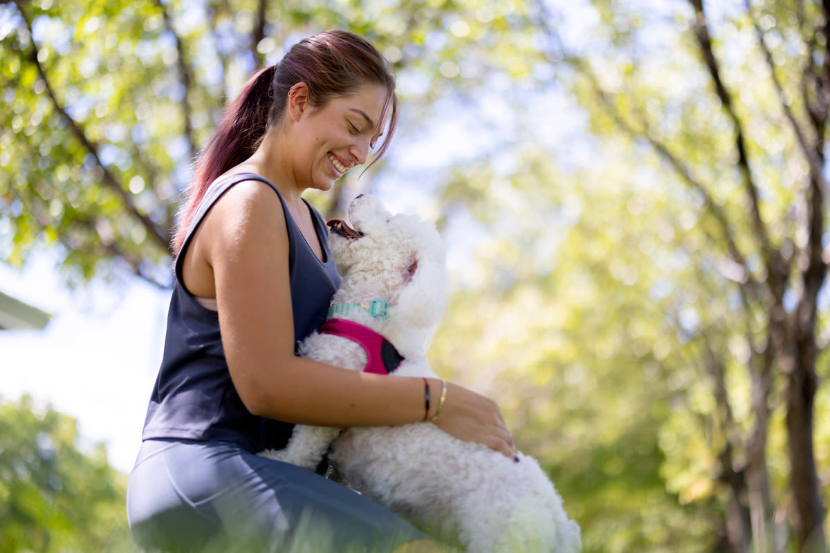 These Tips Can Get You Emotional Support Animal Discounts and Savings