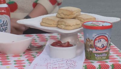 Roanoke Community School hosting 44th Annual Strawberry Festival