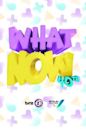 What Now (TV programme)