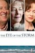 The Eye of the Storm (2011 film)