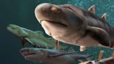 Fish fossils found in China include the oldest teeth ever discovered