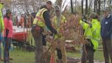 Woodland Hills students, volunteers plant trees around high school