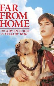 Far From Home: The Adventures of Yellow Dog