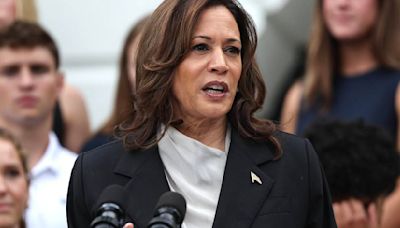 Kamala Harris y el riesgo de una fragmentación demócrata