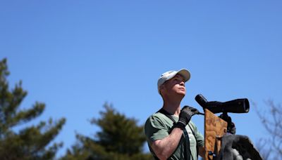 Rapt tour group: Bird-watchers gather on Bradbury Mountain for a day of education on birds of prey