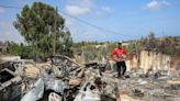 'Bulldozed and shelled': Gaza's farming sector ravaged by war