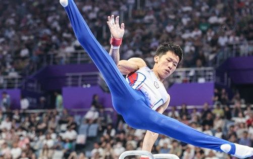 體操世界盃杜哈站 李智凱鞍馬預賽第1續搶奧運資格