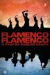 Flamenco Flamenco