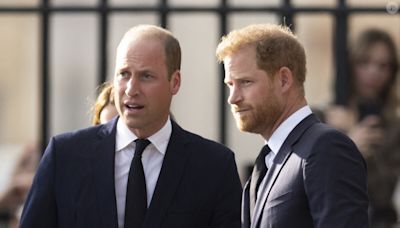 Harry de retour en Angleterre : le prince William jaloux de son frère pour deux raisons précises