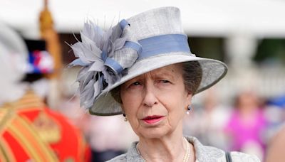 Princess Anne suffers memory loss as result of head injuries: report