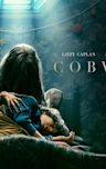 Cobweb (2023 American film)