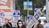 Kaffiyehs and pickets. UCLA, UC Davis workers strike over treatment at pro-Palestinian protests