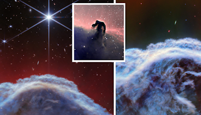 Horsehead Nebula rears its head in gorgeous new James Webb Space Telescope images (video)