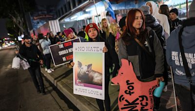 Letters to the Editor: Animal rights activists are overwhelmingly women. That doesn't reflect well on men