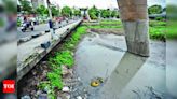 Preventing Mosquito Breeding in Pune through Civic Monitoring of Infra Projects | Pune News - Times of India