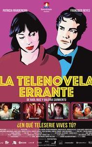 La Telenovela Errante