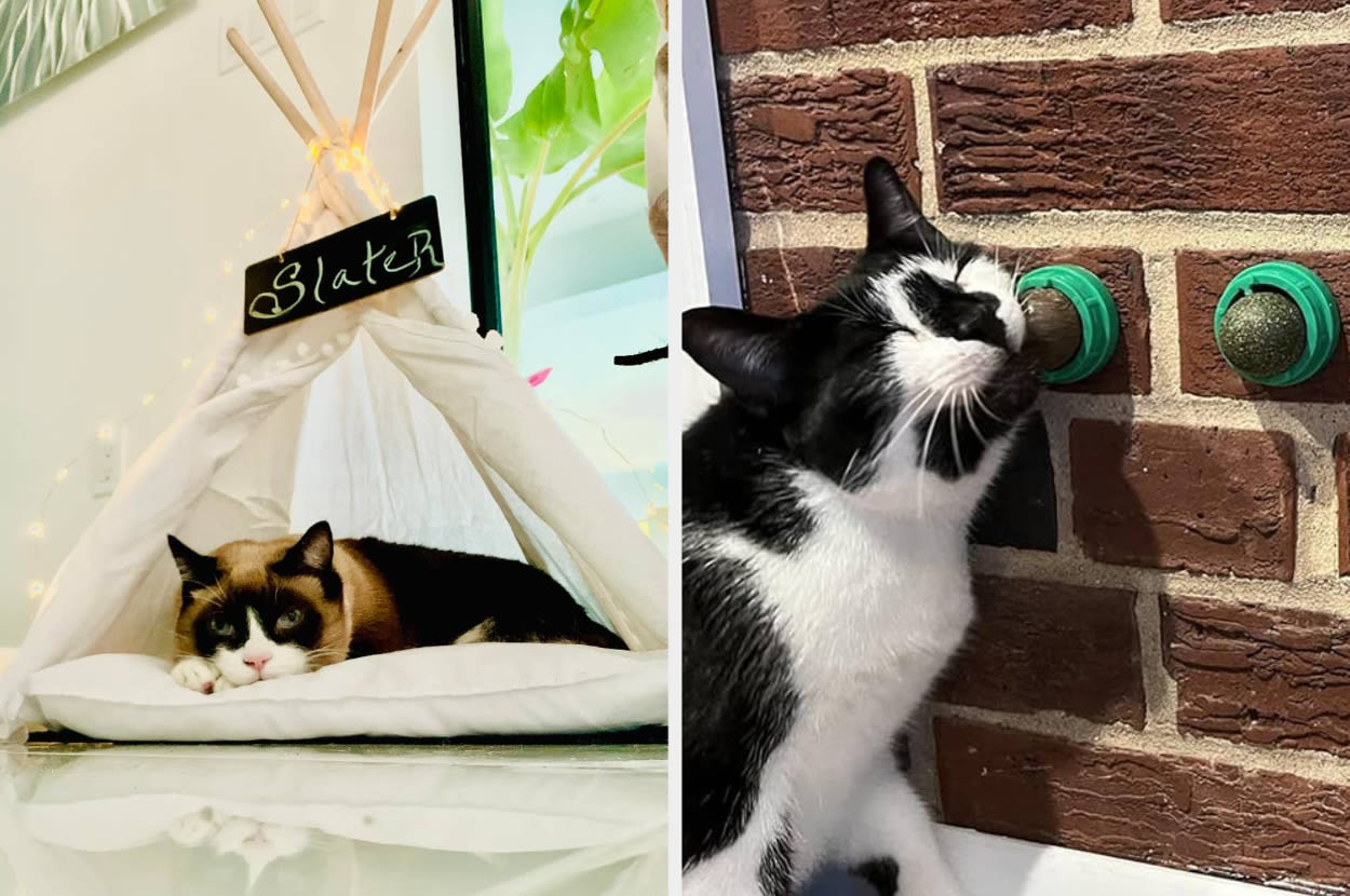 If Your Cat Is The Center Of Your Universe, These 30 Pet Products Will Earn You Infinite Cuddles