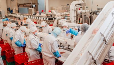 Empresas procesadoras de pollo pagarán $5 millones de dólares: qué tipo de trabajadores lo recibirán - La Opinión