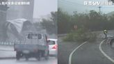 影／海葵颱風影響花蓮強風不斷 停車場帳篷、台11線路樹倒塌