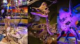 Bosque de Chapultepec presenta ‘Dinosaurium’: horarios, precios y fechas para ver la exposición de dinosaurios