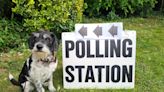 Dogs return to polling stations as their owners vote in the General Election