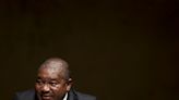 Mozambique's Ruling Party Chooses New Leader