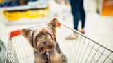 Are dogs allowed in restaurants, grocery stores in Illinois? Here’s what state law says