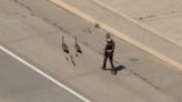 OHP Troopers corral Canada geese along highway