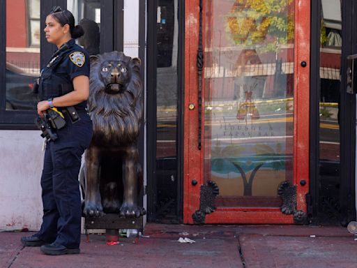 2 bystanders wounded by stray bullets caps bloody week in the Bronx