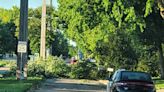 Hastings offers free tree debris disposal after storm