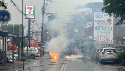 電纜線遭撞斷狂冒火 竹東307戶停電兇手是牠