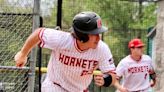 Honesdale advances to District 2 Class 4A baseball semifinals