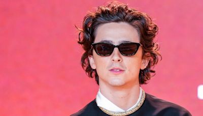 Publicaron nuevas fotos de Timothée Chalamet como Bob Dylan - La Opinión