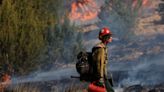 Forest Service to Halt Prescribed Burns After Destructive New Mexico Wildfire